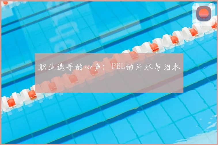 职业选手的心声：PEL的汗水与泪水