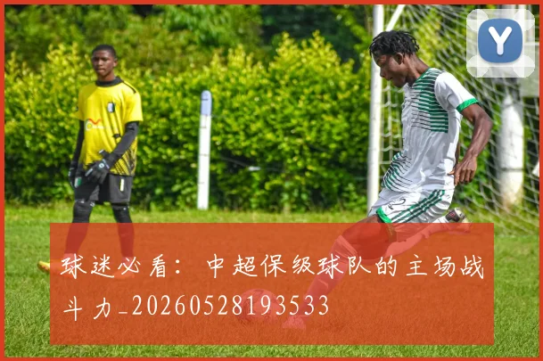 球迷必看:中超保级球队的主场战斗力_20260528193533