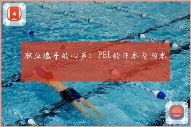 职业选手的心声：PEL的汗水与泪水