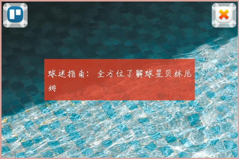 球迷指南:全方位了解球星贝林厄姆
