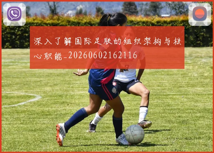 深入了解国际足联的组织架构与核心职能_20260602162116