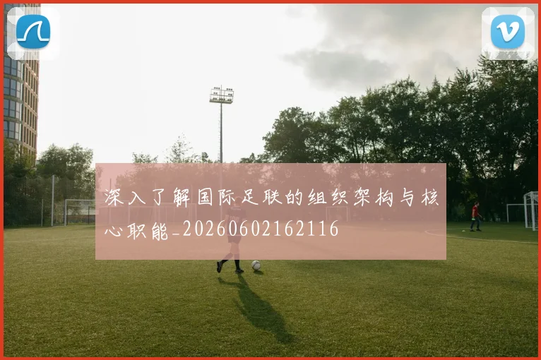 深入了解国际足联的组织架构与核心职能_20260602162116